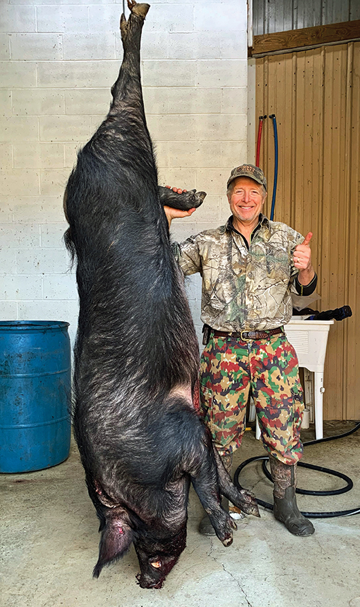 The mysterious “Mule Foot” monster!